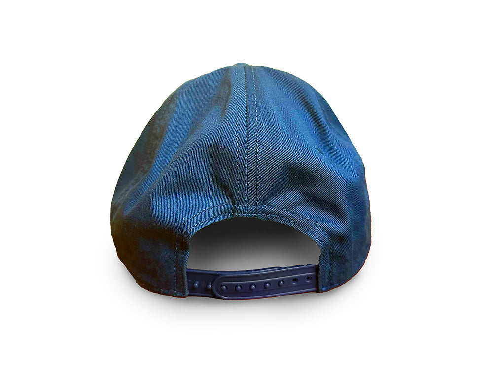 Raiden Logo Dad Hat